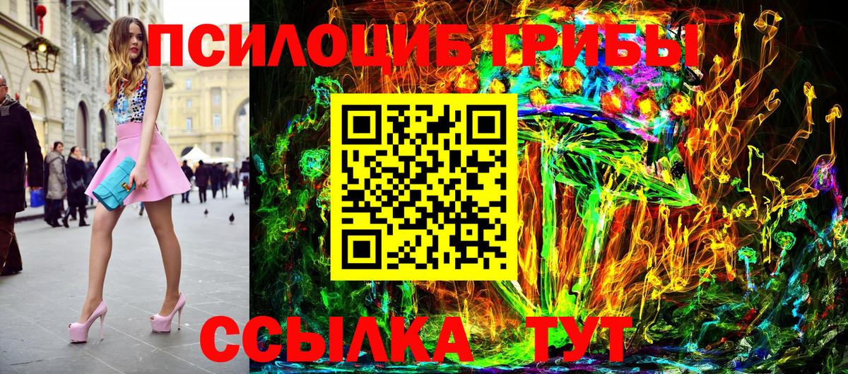 Псилоцибиновые грибы мицелий  Вход с VPN  где купить наркотик  Дзержинский 