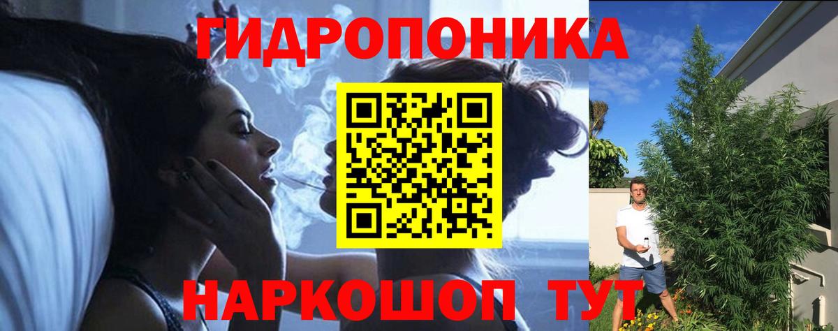Шишки марихуана семена  Вход с VPN  Конопля THC 21%  Дзержинский  Канабис OG Kush 